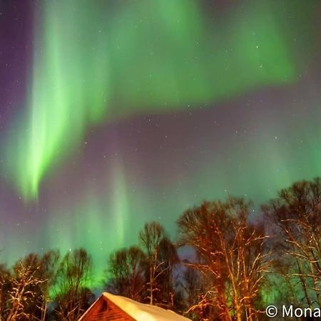 Susitna River Lodging, Suites Талкитна Екстериор снимка