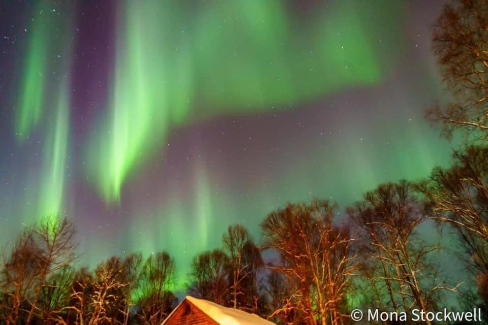 Susitna River Lodging, Suites Талкитна Екстериор снимка