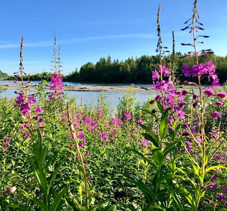 Susitna River Lodging, Suites Талкитна Екстериор снимка