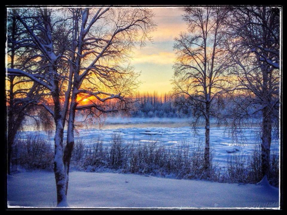 Susitna River Lodging, Suites Талкитна Екстериор снимка